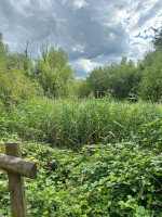 Images for London Road, Staines-upon-Thames, Surrey