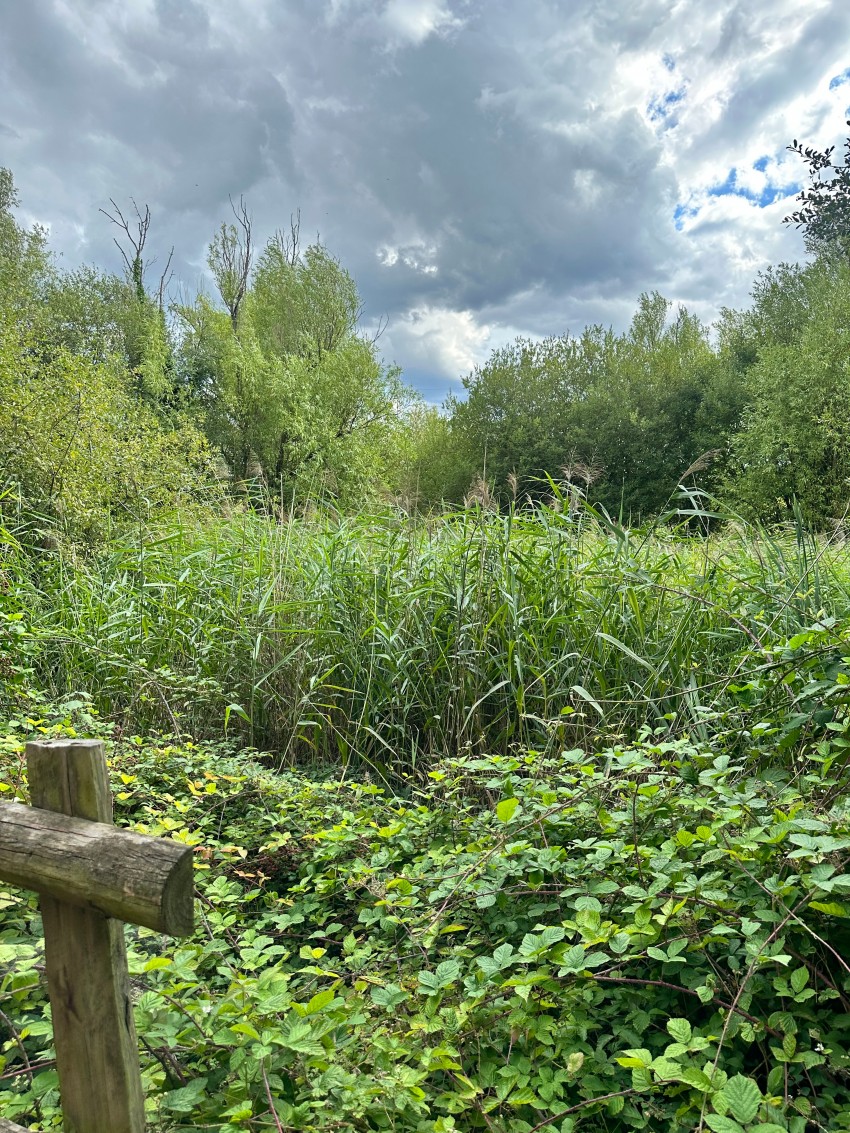Images for London Road, Staines-upon-Thames, Surrey
